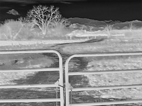 【Sサイズ】BTC 2インチ Fast Short Sサイズ】BTC 2インチ Fast Short